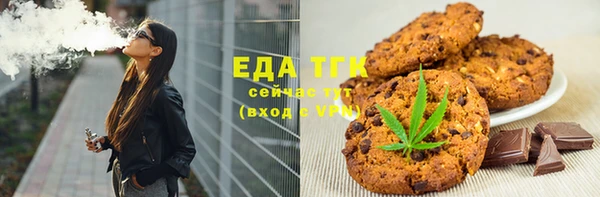 шишки Лабытнанги
