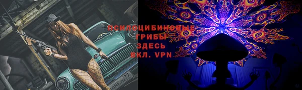 спиды Ладушкин