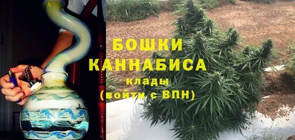 ПСИЛОЦИБИНОВЫЕ ГРИБЫ Краснослободск
