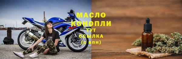 шишки Лабытнанги