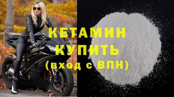 шишки Лабытнанги