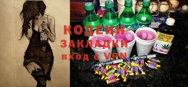 шишки Лабытнанги