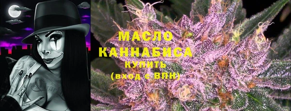 шишки Лабытнанги