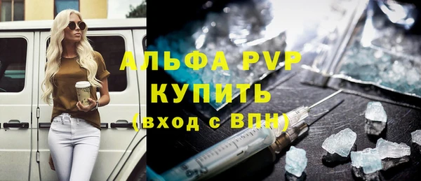 шишки Лабытнанги