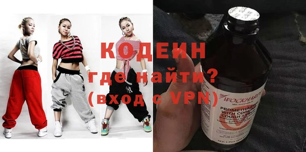 шишки Лабытнанги