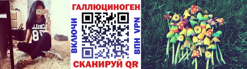 купить  цена  Среднеколымск  Псилоцибиновые грибы GOLDEN TEACHER 